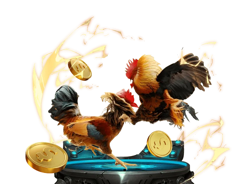 Hoàn trả cược thua tại tai rikvip